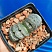 Haworthia Truncata 'Enchanting Stream', 8-10 см